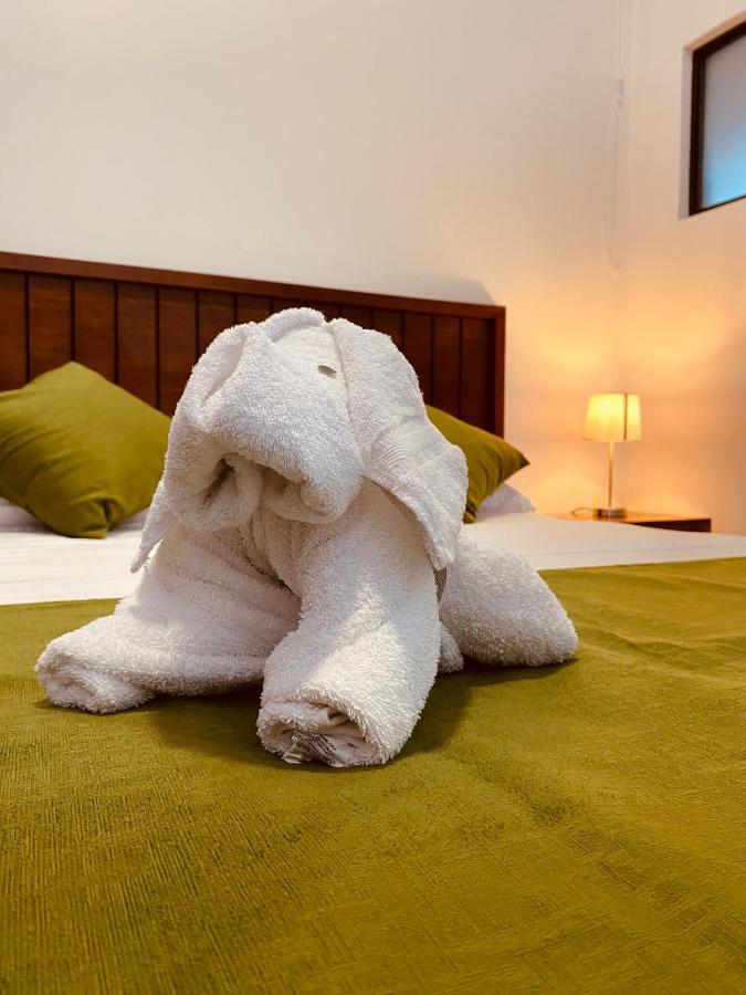 Casa Macaw Apartment La Fortuna ภายนอก รูปภาพ